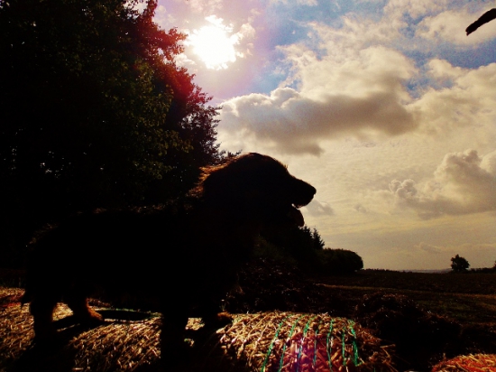 Z ranní šoulačky.