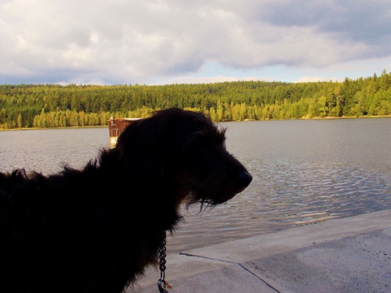 Z ranní šoulačky.