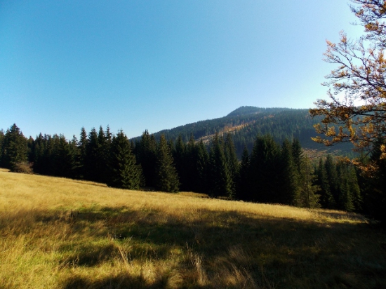 Šumava.