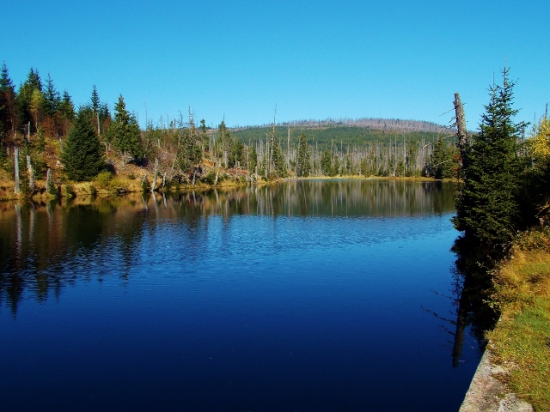 Šumava.