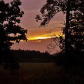 Z večerní čekané.