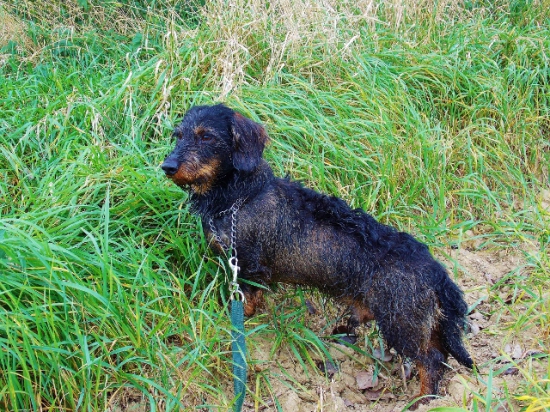 Z ranní šoulačky.