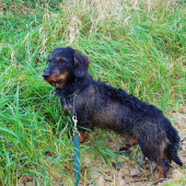 Z ranní šoulačky.