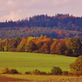 Z večerní šoulačky.