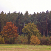 Z večerní šoulačky.