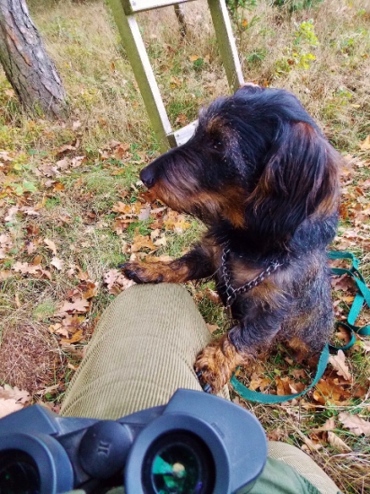 Klid před zvěří.