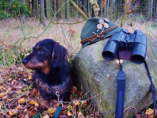 Kamarád nejvěrnější.