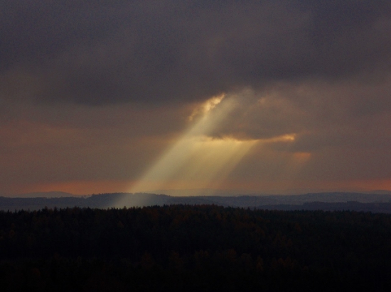 Z čekané.