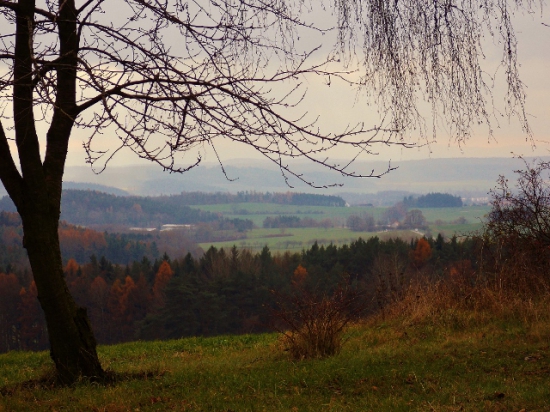 Z čekané.