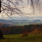 Z čekané.