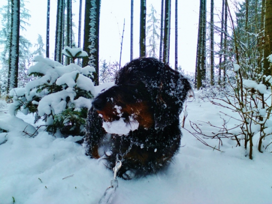 Z ranní šoulačky.