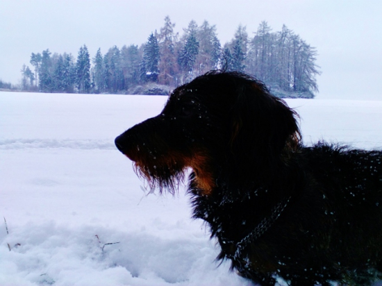 Z ranní šoulačky.