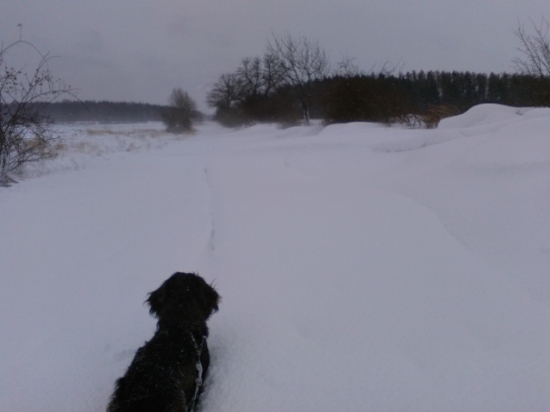 Z ranní šoulačky.