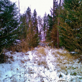 Z čekané.