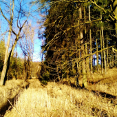 Z čekané.