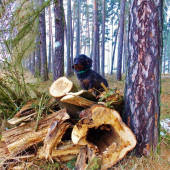 Z čekané.