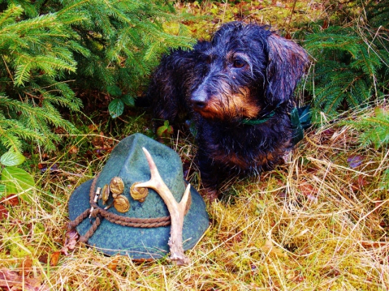 Lukyho nález čislo 15.