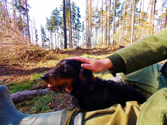 Z čekané na sluky.