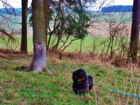 Z ranní šoulačky.