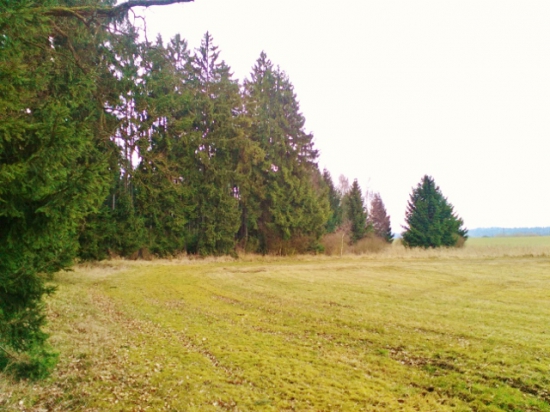 Z čekané.