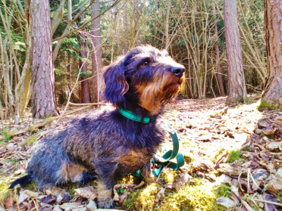 Z ranní šoulačky.