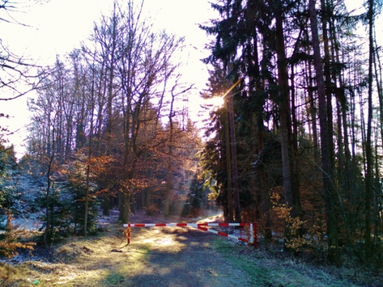 Cestou z čekané.