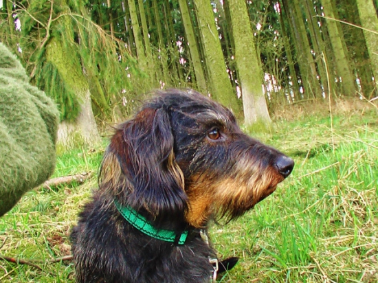 Z čekané na sluky.