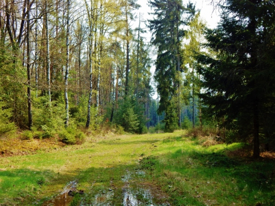 Z ranní šoulačky.