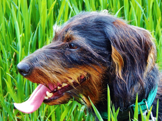 Z ranní šoulačky.