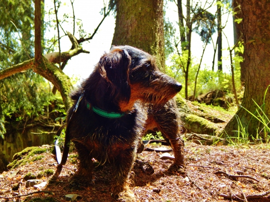 Z ranní šoulačky.