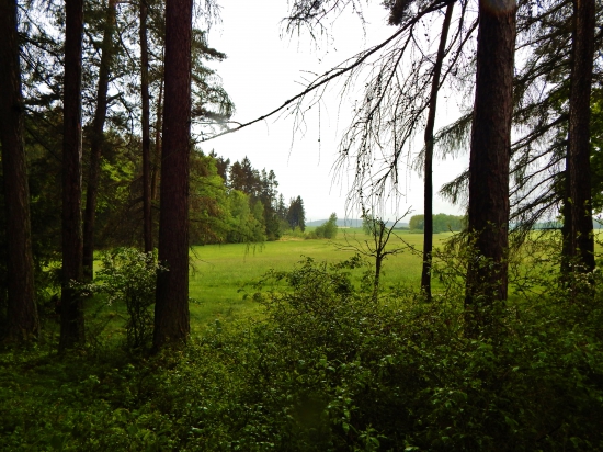 Z čekané.