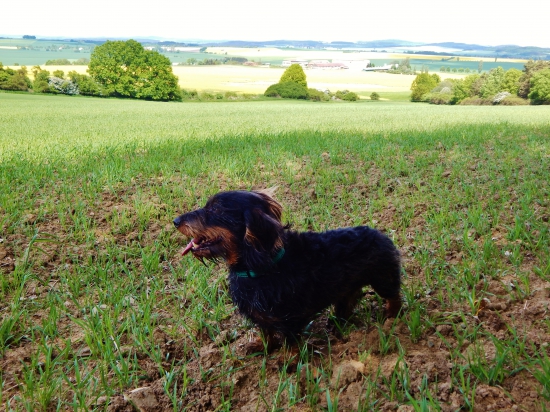 Z ranní šoulačky.