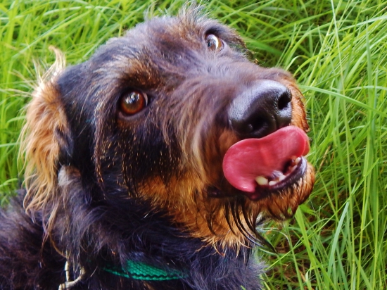 Z ranní šoulačky.