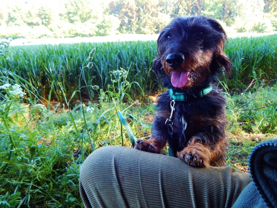 Naše každodenní čekaná.