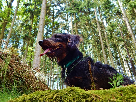 Z ranní šoulačky.