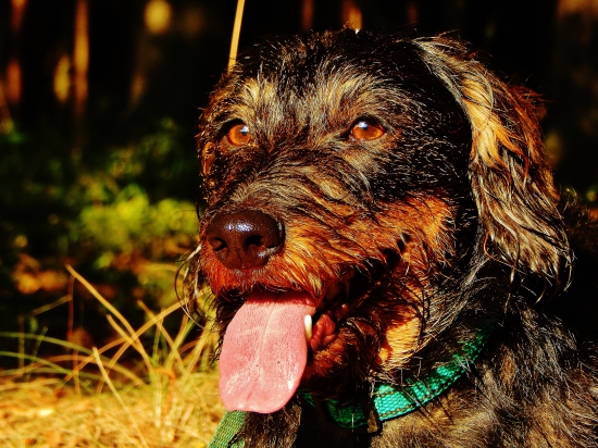 Z ranní šoulačky.