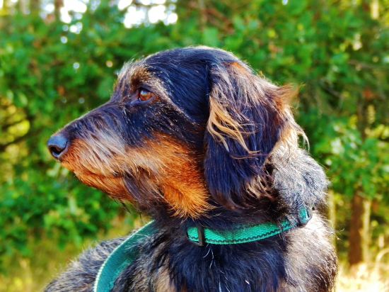 Naše každodenní čekaná.