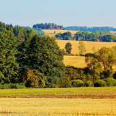 Z ranní šoulačky.