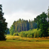 Z ranní šoulačky.