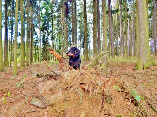 Z ranní šoulačky.