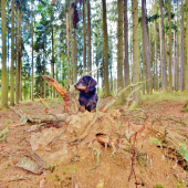 Z ranní šoulačky.