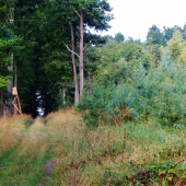 Z ranní šoulačky.