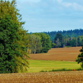 Z ranní šoulačky.