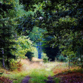 Z ranní šoulačky.