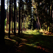 Z ranní šoulačky.