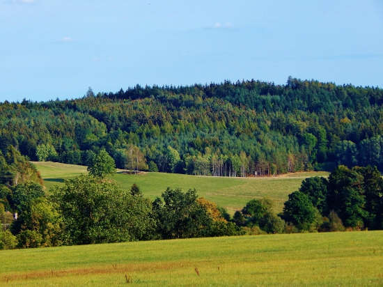 Z čekané.