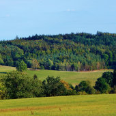 Z čekané.