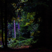 Z ranní šoulačky.