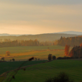 Ze šoulačky.
