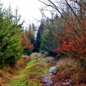 Z ranní šoulačky.